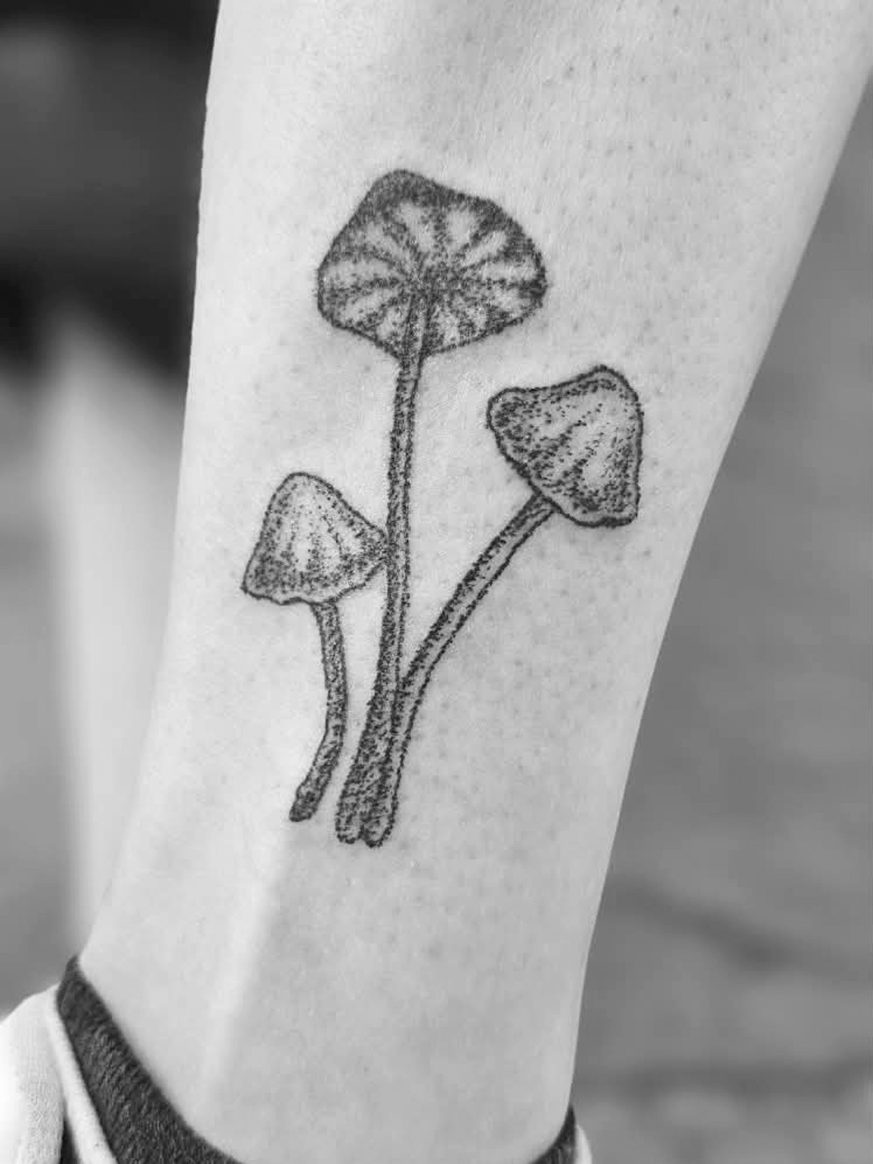 Piccolo tatuaggio in bianco e nero con tre funghi.